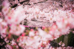 川000