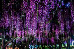 ライトダウン009