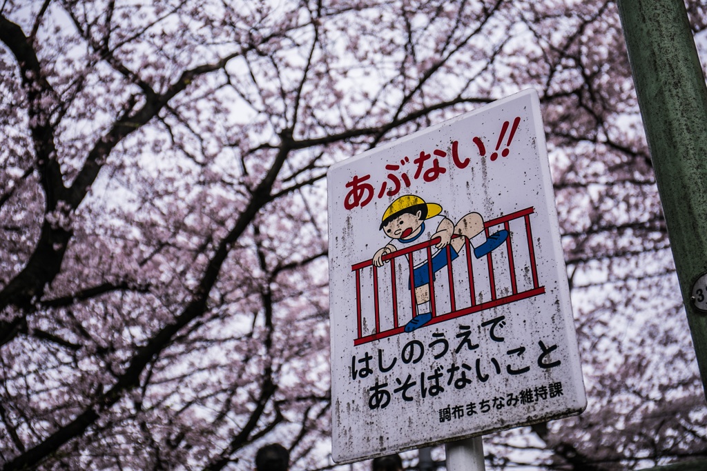 坂006
