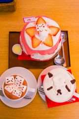 ねこまつり016