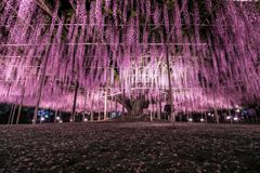 パーク夜057