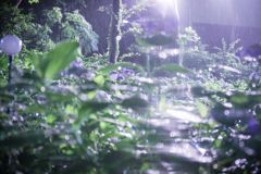ナイト126