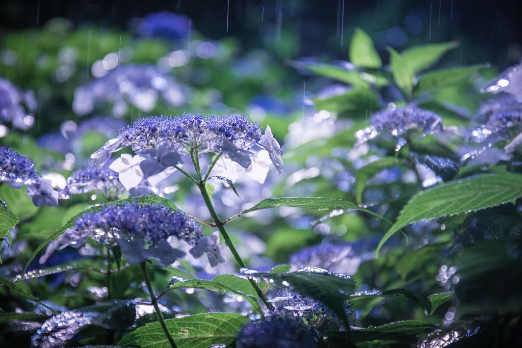 test001