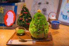 クリスマスツリー001
