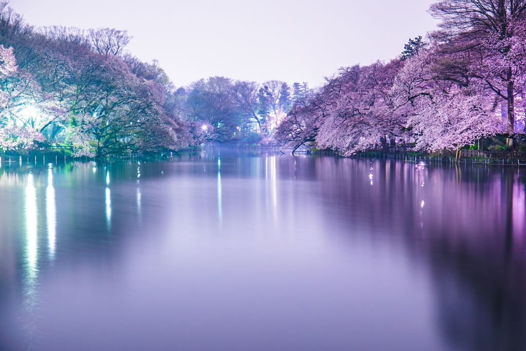 頭公園003