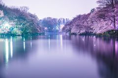 頭公園003