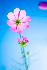 035