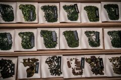 アフタヌーンティー009