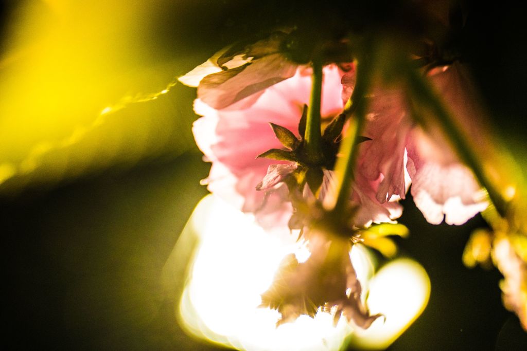 024