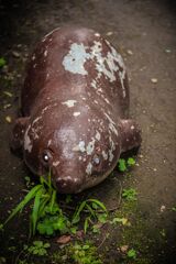 オブジェ公園006