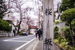 坂002