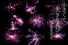 家＠2018線香花火組写真