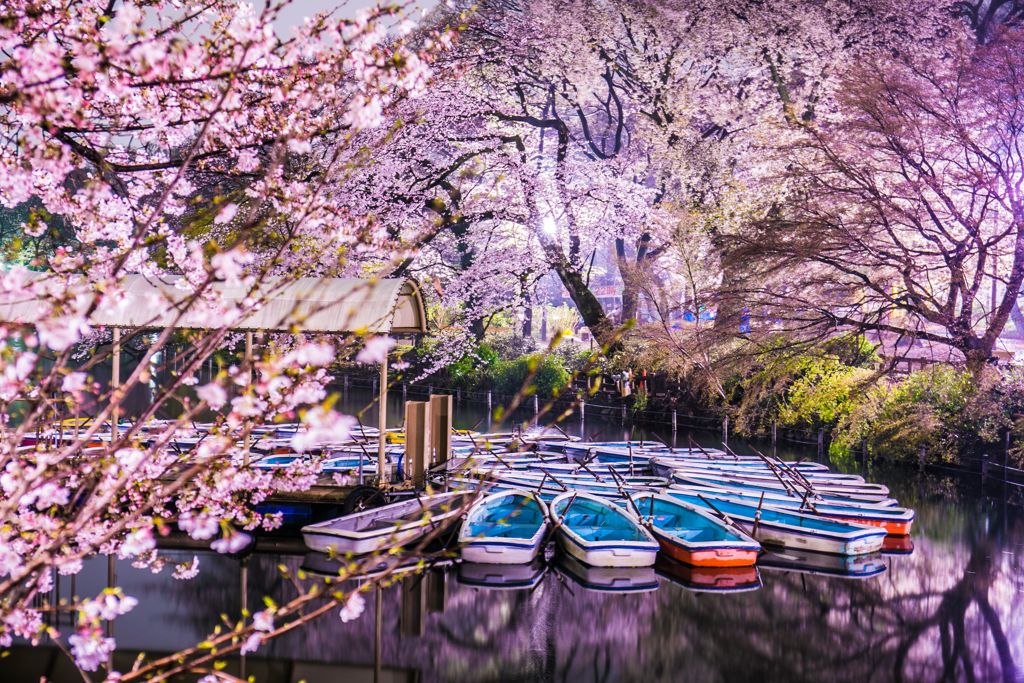 頭公園000