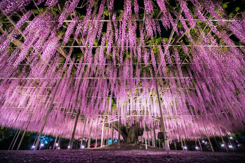 夜060