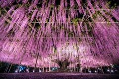 夜060