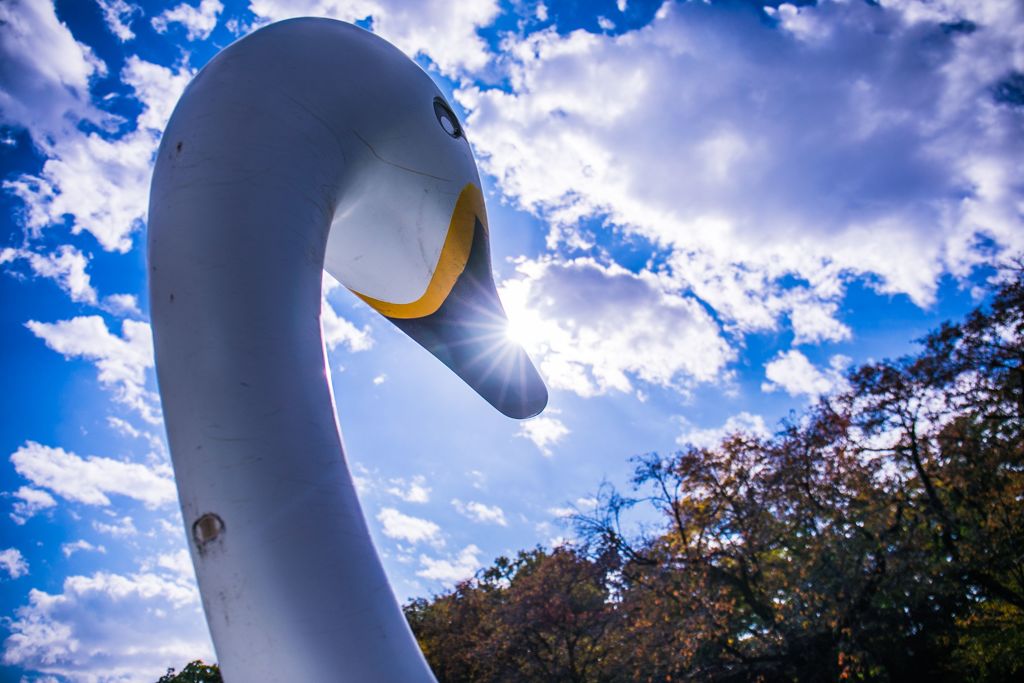 スワンボート007