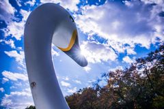 スワンボート007