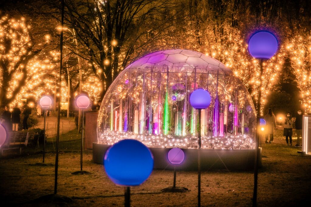 ライトアップB001