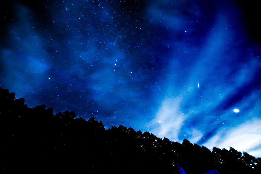 ナイトツアー001