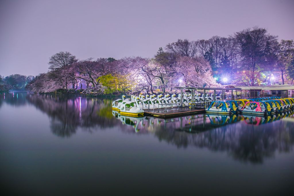 頭公園001