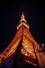 照明004