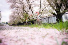 川B020