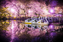Test001