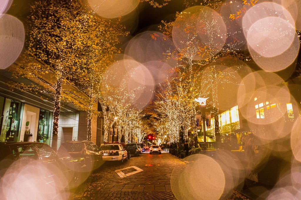 ライトアップ001