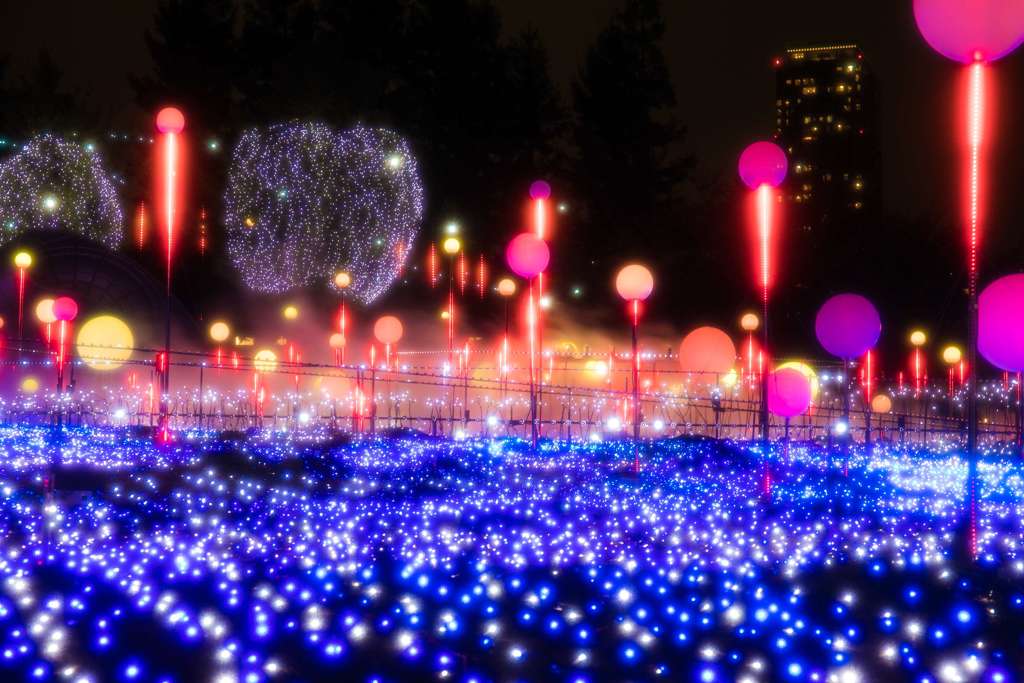 ヒルズライトアップ021