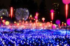 ヒルズライトアップ021