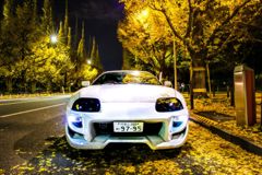 イチョウと車007