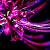 test002