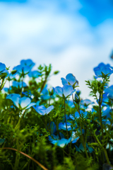 test001
