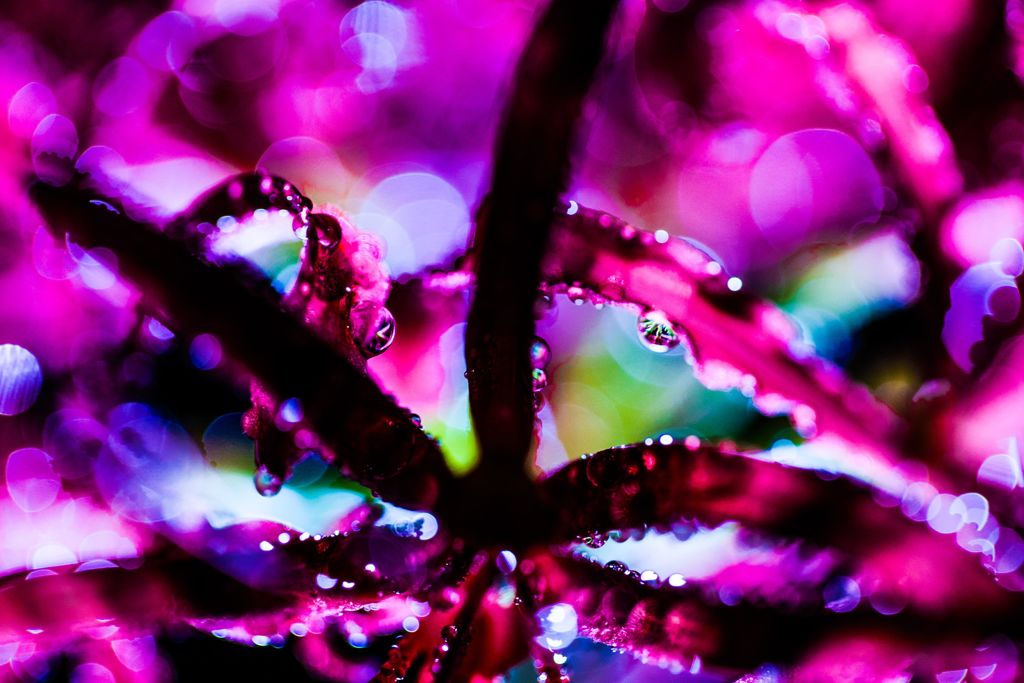 test001