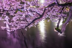 頭公園011