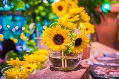 ティーハウス本店005