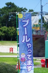 プール　やってます！