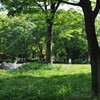 ゴールデンウイークの公園