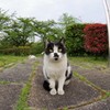 何かくれよ～