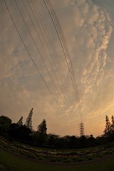 電線