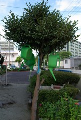 じょうろのなる木