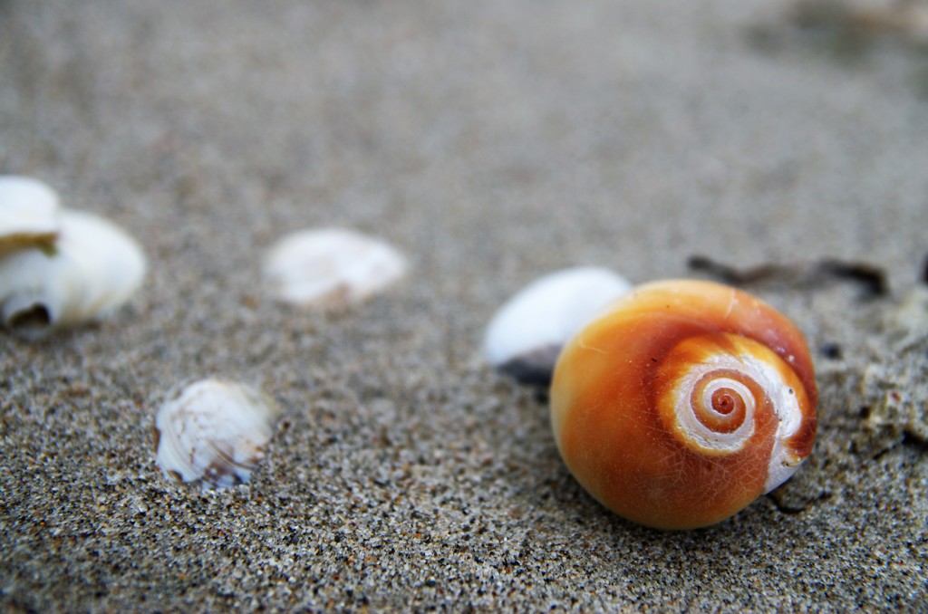 秋の海