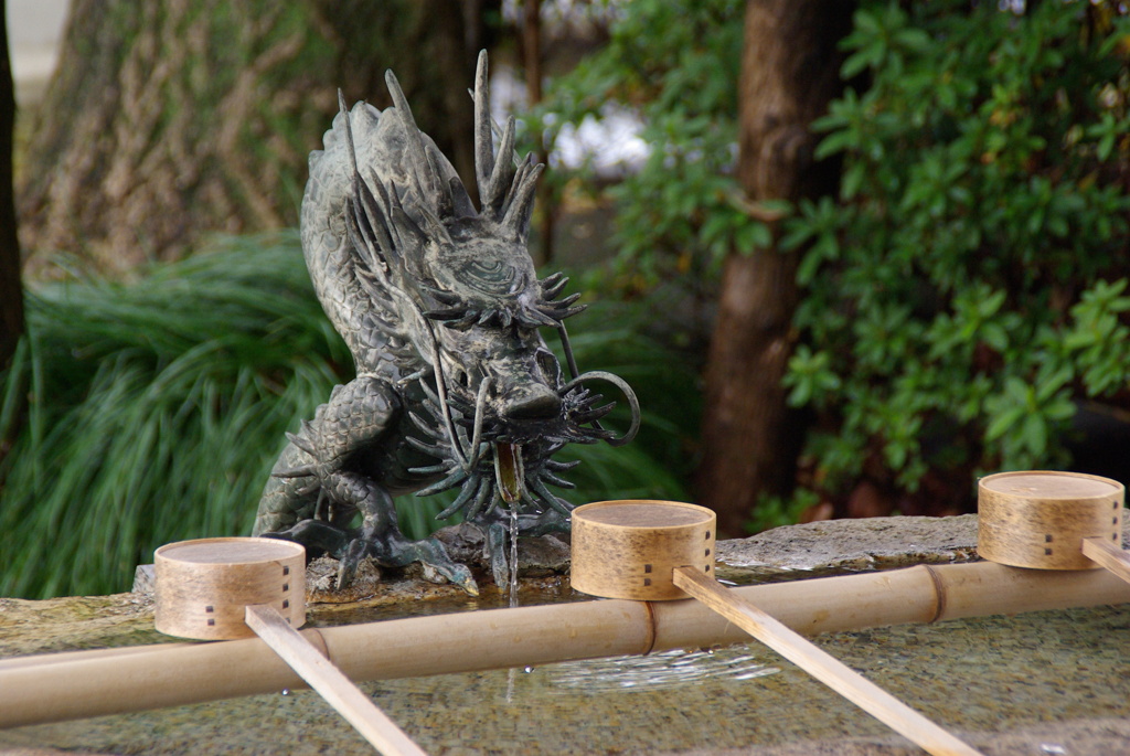 手水舎の竜