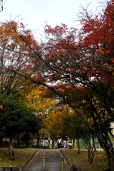 公園入口