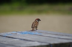 悩む