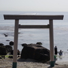 つぶてヶ浦