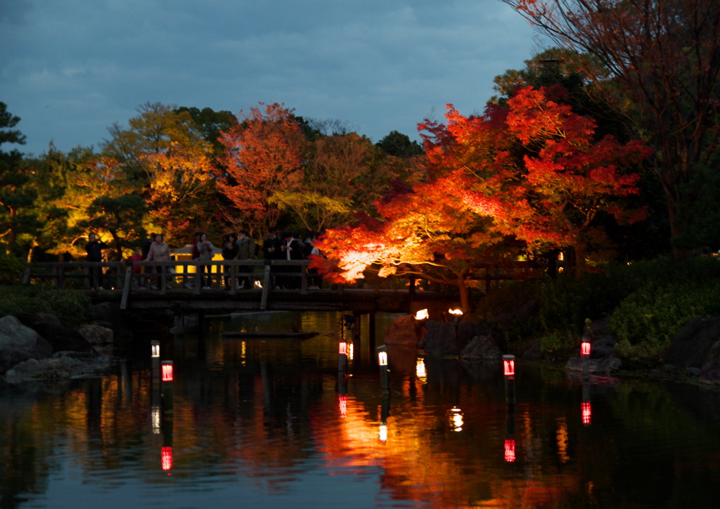 夜の紅葉狩り