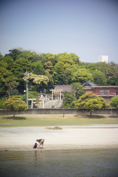 神社の見える海岸