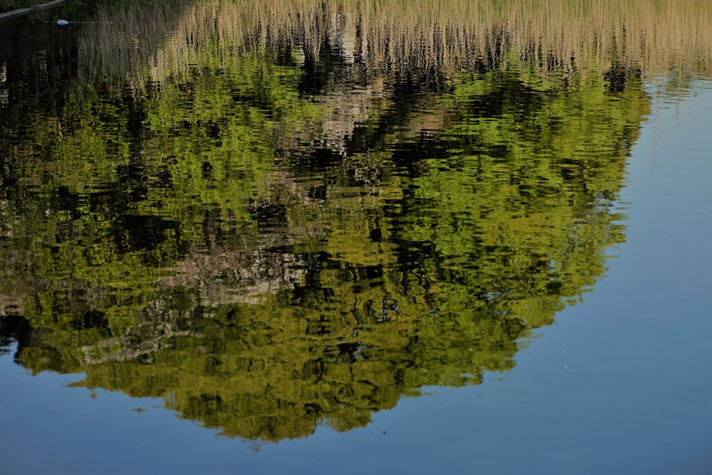 水鏡