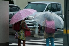 雨の通学